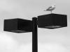 Eye in the sky.