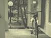 In the vernacular