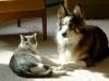 Best Friends Forever
