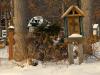 Elizabethan Christmas - Shrine