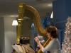 Harp, not Guinness